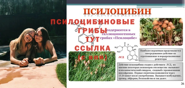 марки nbome Балабаново