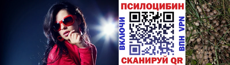 Псилоцибиновые грибы мицелий  МЕГА рабочий сайт  Курлово 